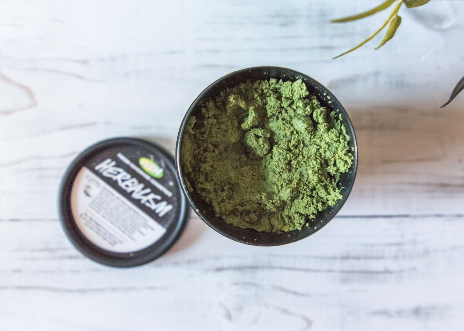 REVIEW Lush Herbalism Cleanser, How to Use, Photos Jessoshii