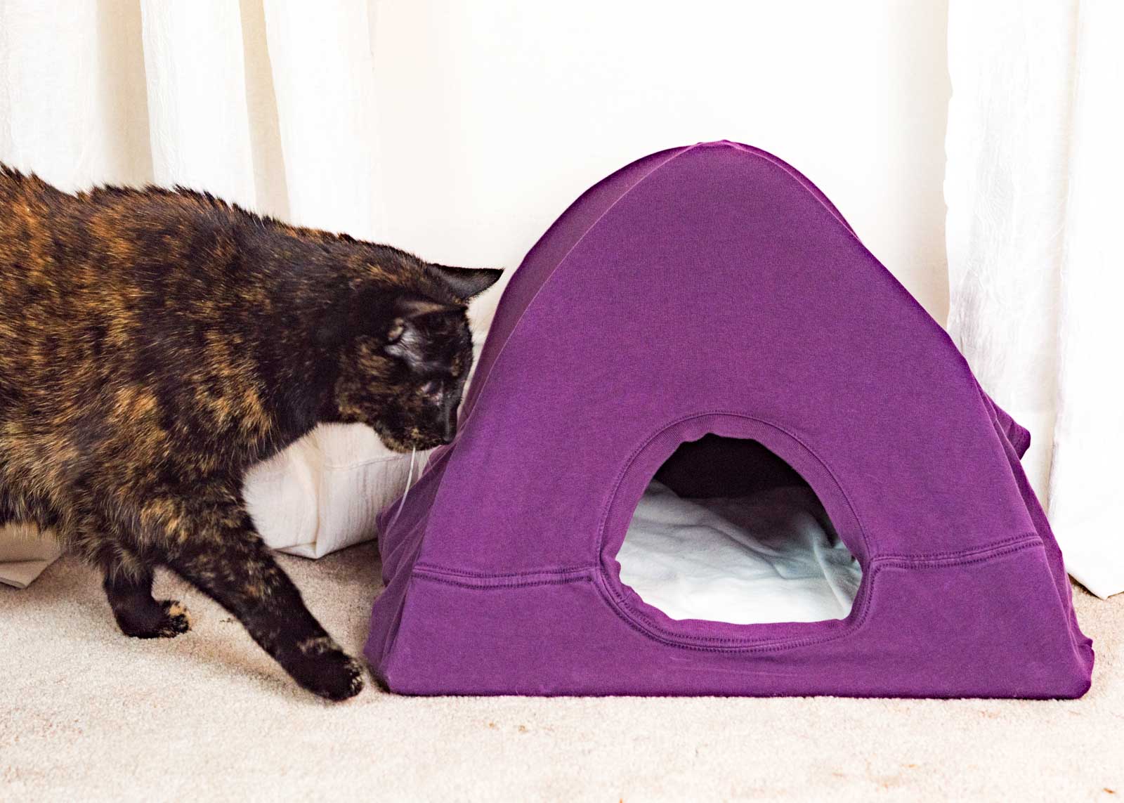 just for cats hide and play activity tent