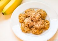 DIY pet treats oatmeal banana cookies and freshpet (9 of 10)