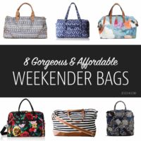affordable and trendy weekender travel bags