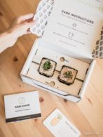 succulent subscription boxes 1